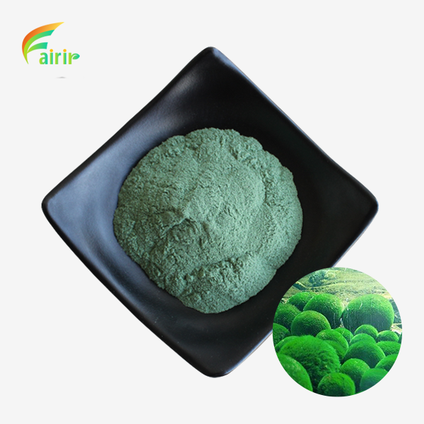 Raw Chlorella Powder